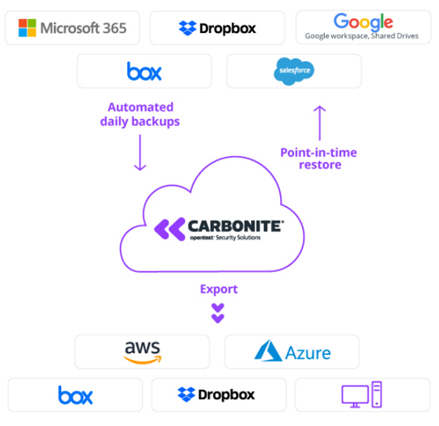 Carbonite™ Cloud-to-Cloud Backup